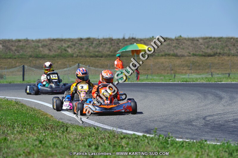 DSC_ (1555).jpg